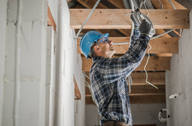 Best Electric Panel Repair  in Hawkinsville, GA